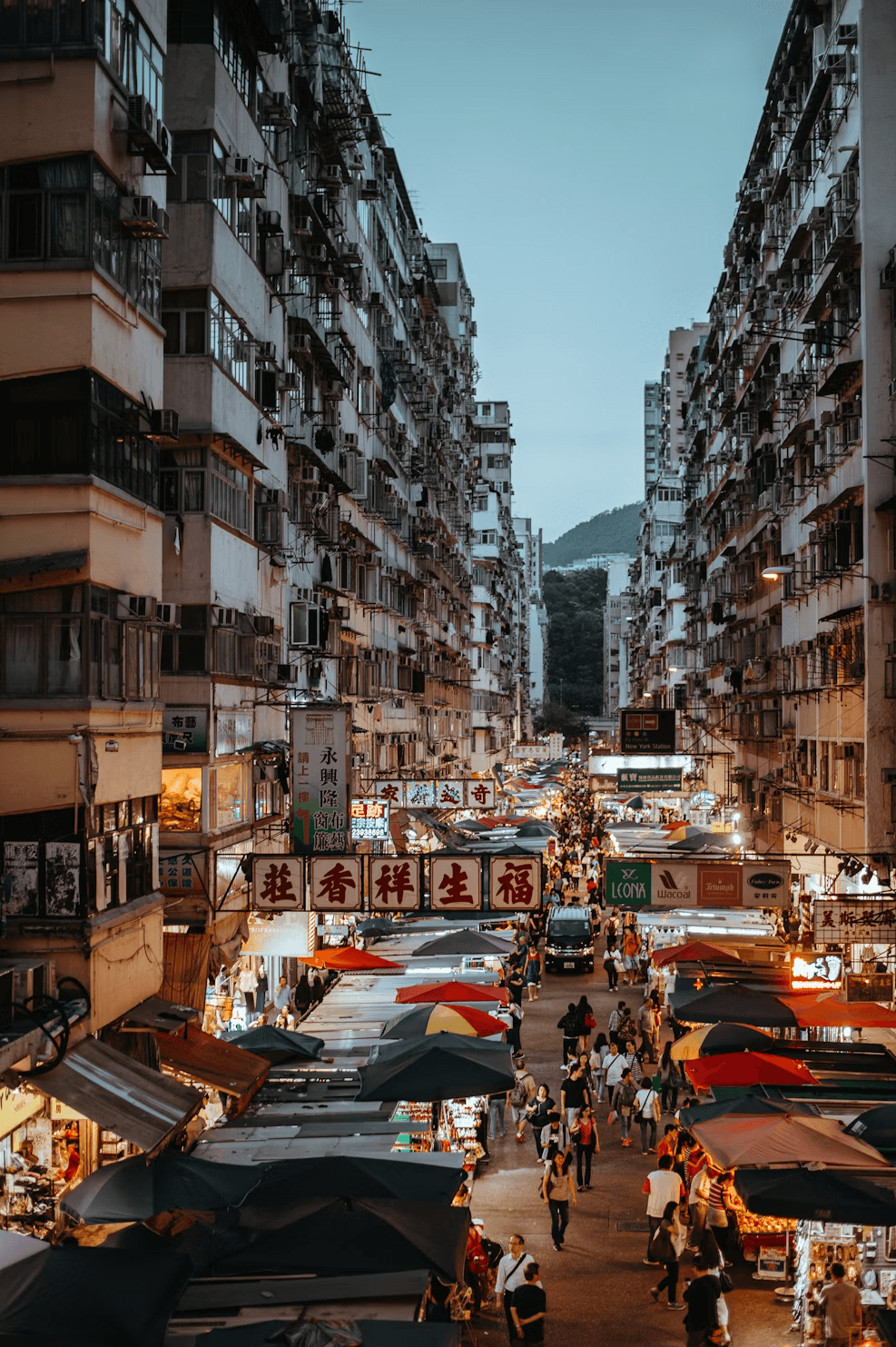 Tap Into More — Lifestyle Platform