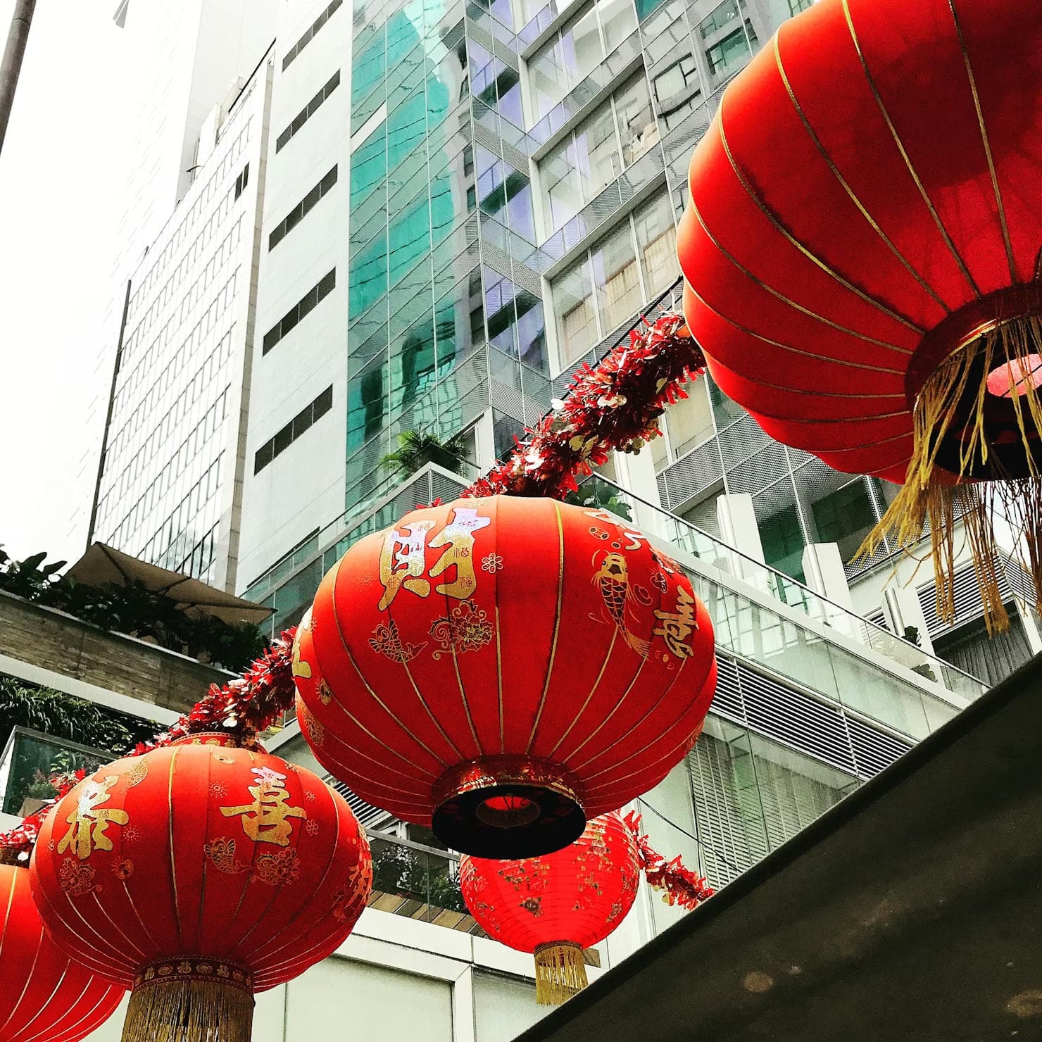 Lunar New Year Luxe